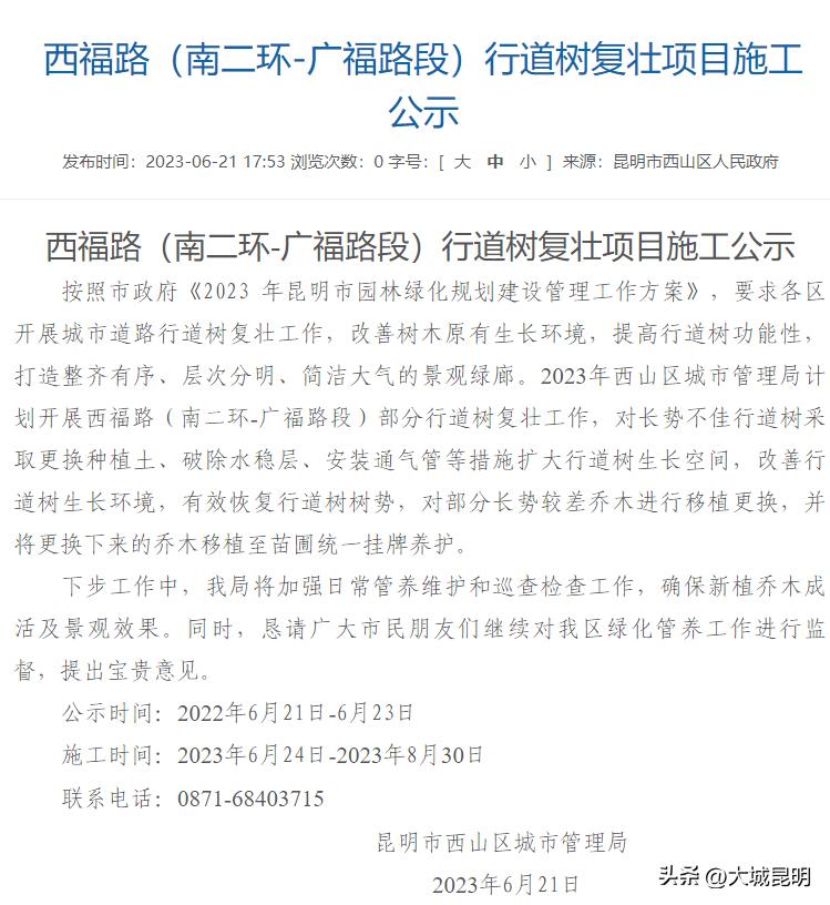 补绿换绿增绿！西山区道路沿线景观将焕然一新