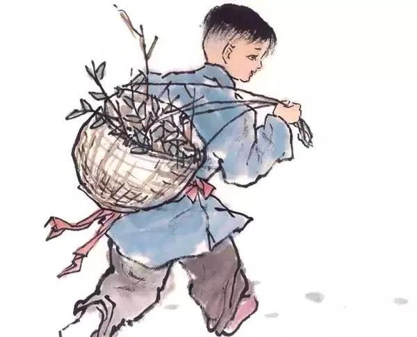 从服务员一路逆袭,锦鲤杨超越的拼命之路