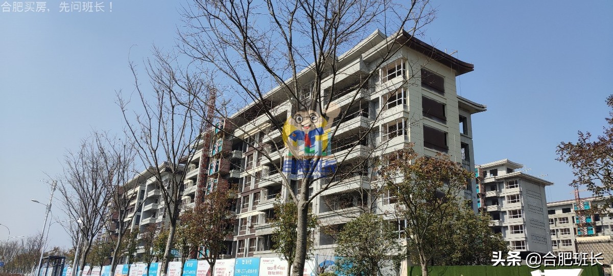 大力开发的滨湖西成色如何，班长跑遍16个项目带你看真实的板块