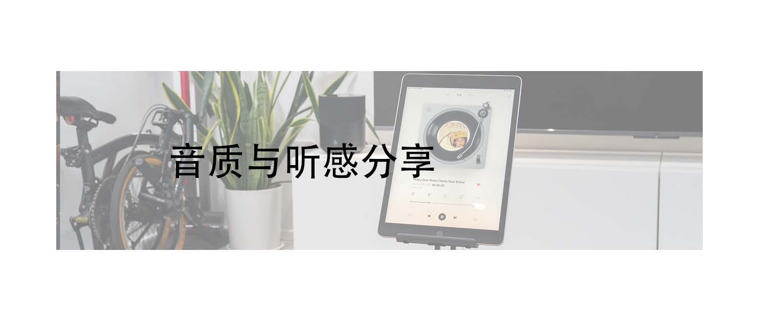 好声音与使用体验：BLUESOUNDPULSEM无线多媒体音箱