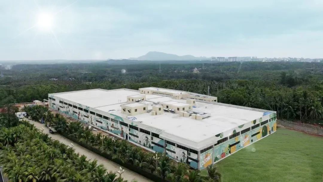 光春食品店,春光食品进军椰汁