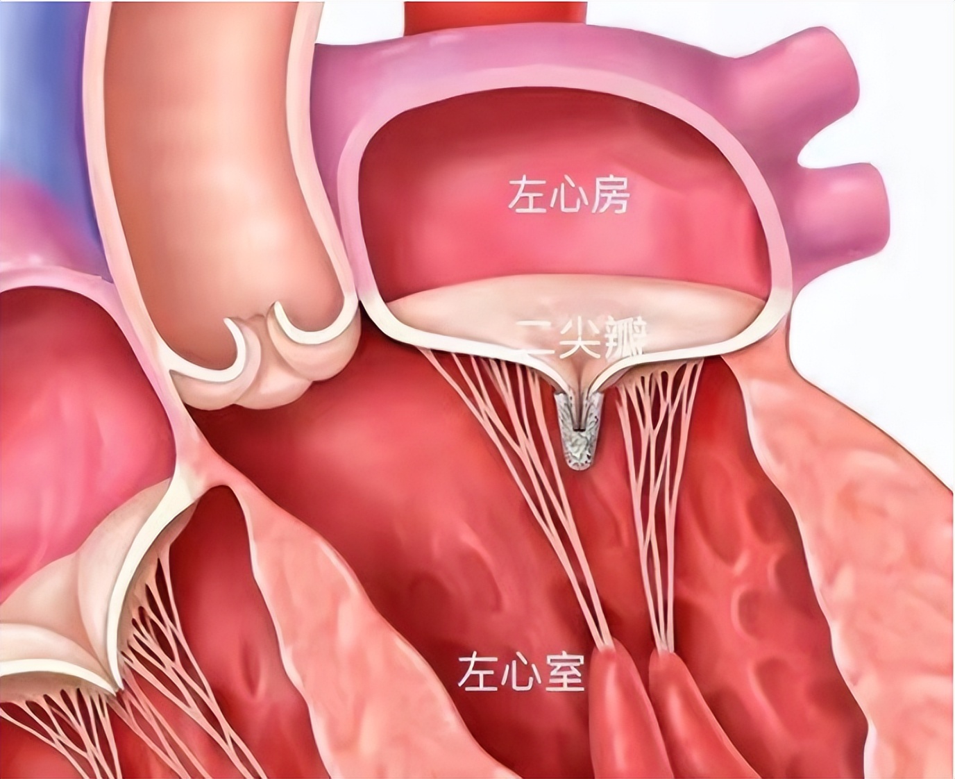 一线生机高清完整版,一线生机电影