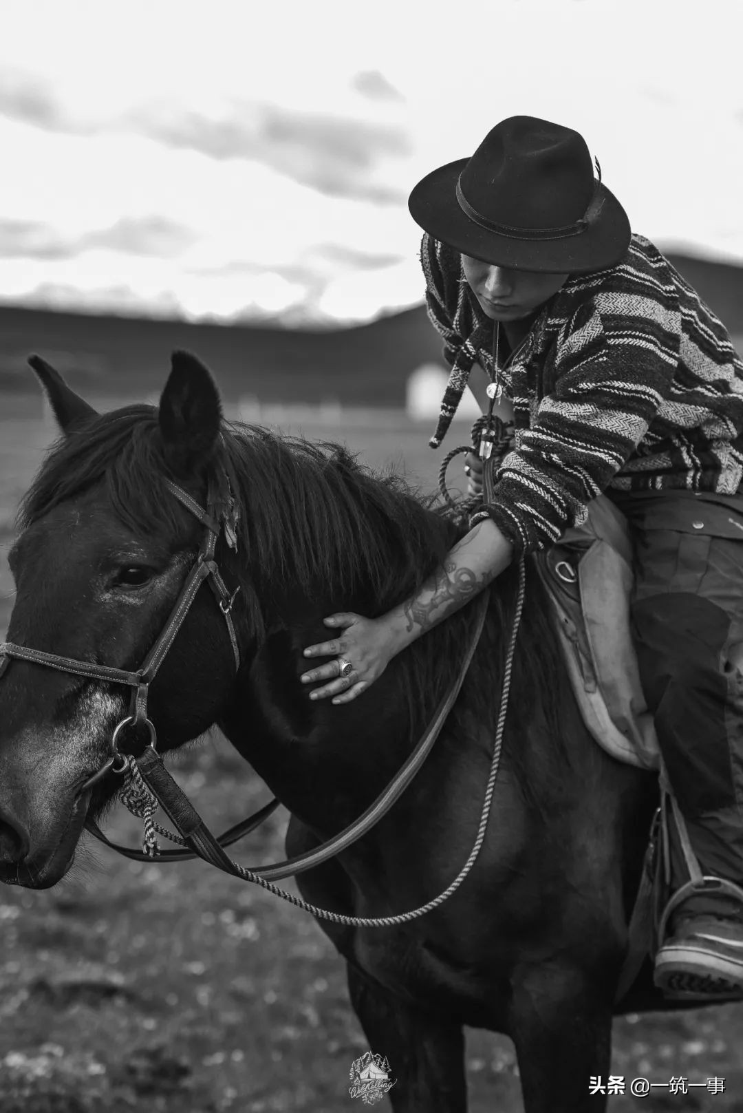 精致露营盈利模式,精致露营低成本