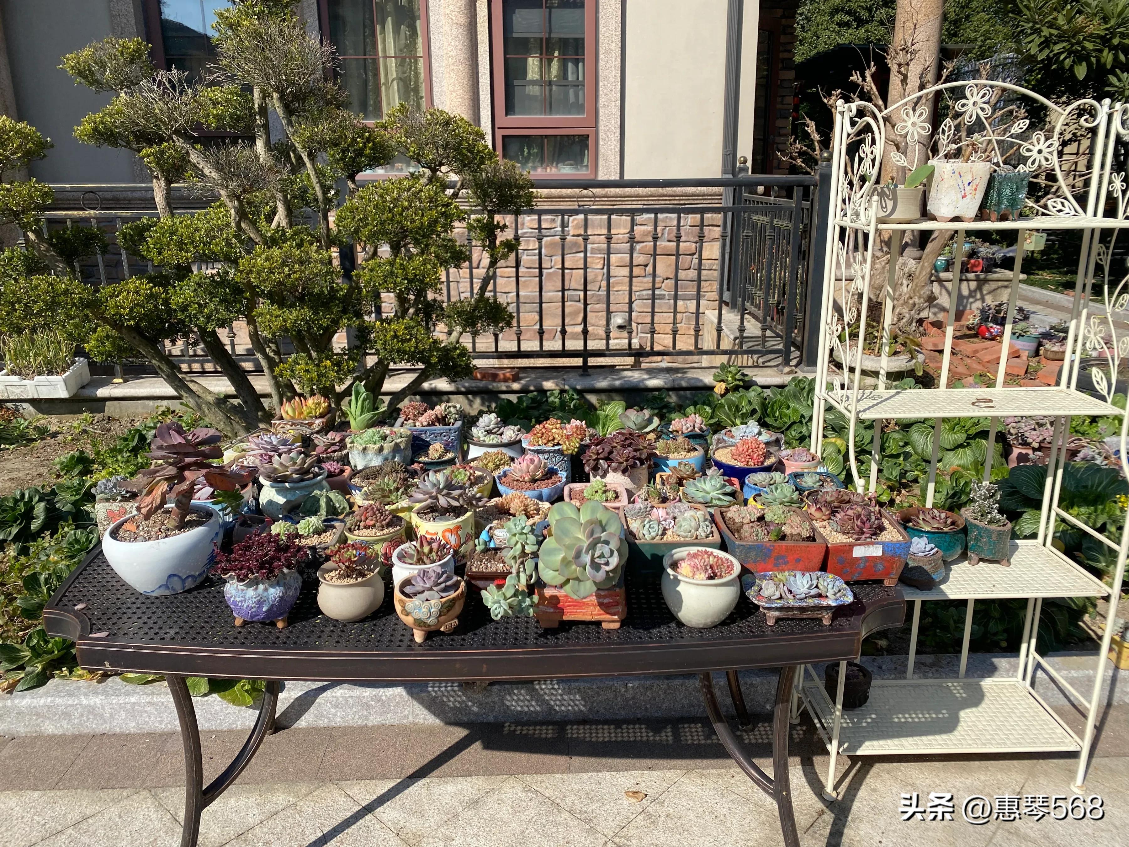 我的照片全部删了怎么找回来,我的照片图库在哪里