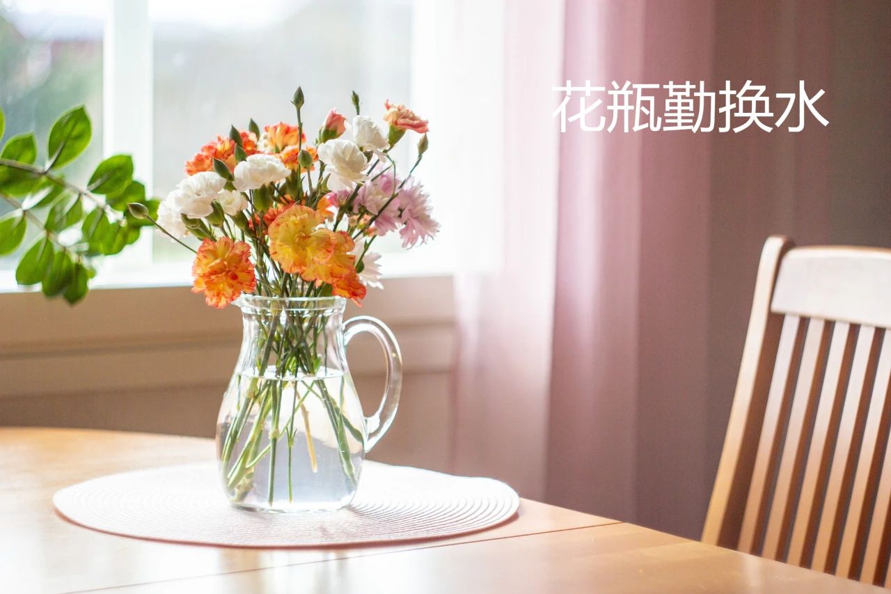 哪种蚊帐防蚊效果好又好看,什么蚊帐防蚊又简单好看