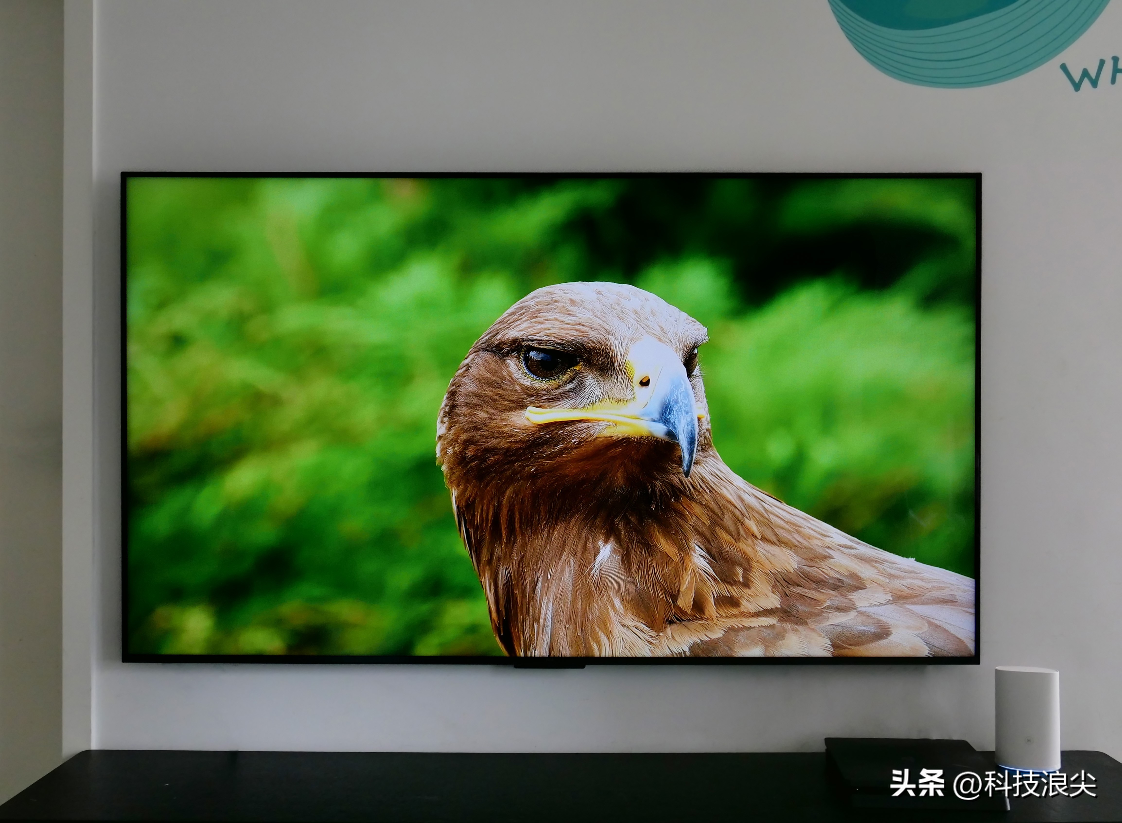 tclq10h浠嬬粛瑙嗛,tclq10g瑙傚奖鏁堟灉