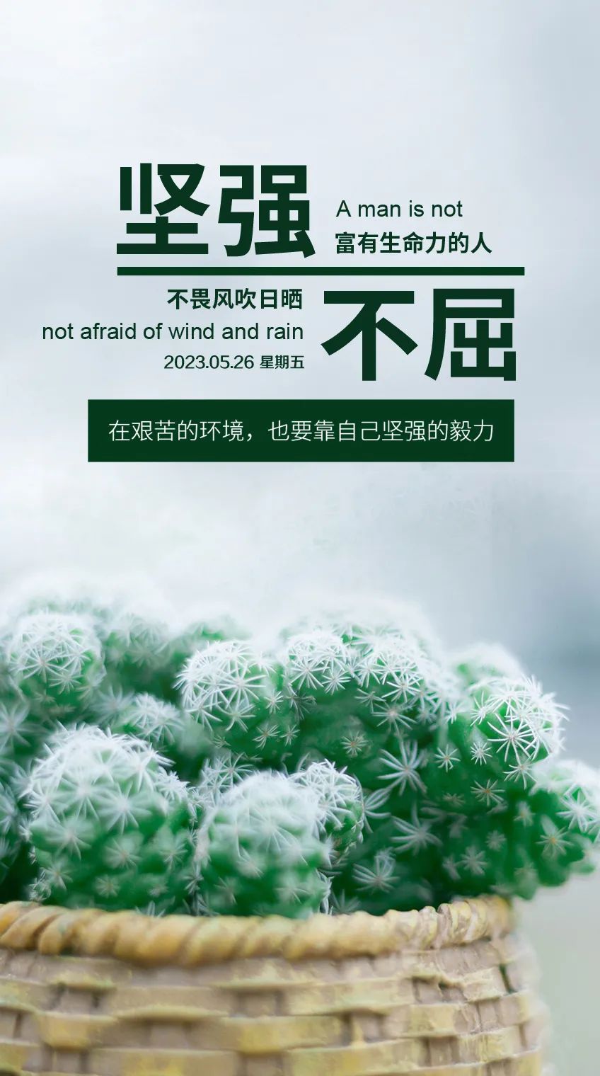 早安心语正能量语录简短句子图片,2020.12.9早安心语正能量走心语录