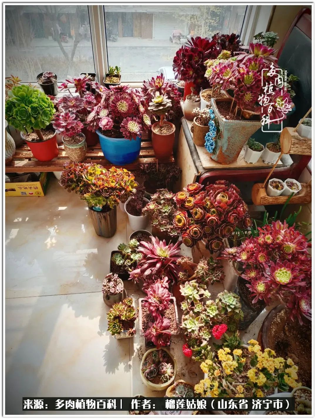 繁花似锦觅安宁淡如流水度一生,繁花似锦觅安宁淡云流水度人生