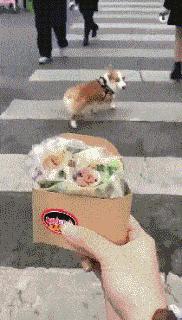 想穿这样的衣服还怕别人看见吗,穿这样的衣服出门真的不尴尬吗