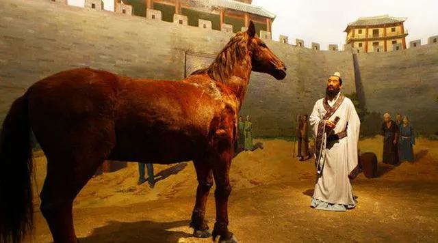 中科大创新班成绩,中科大附中高中创新班