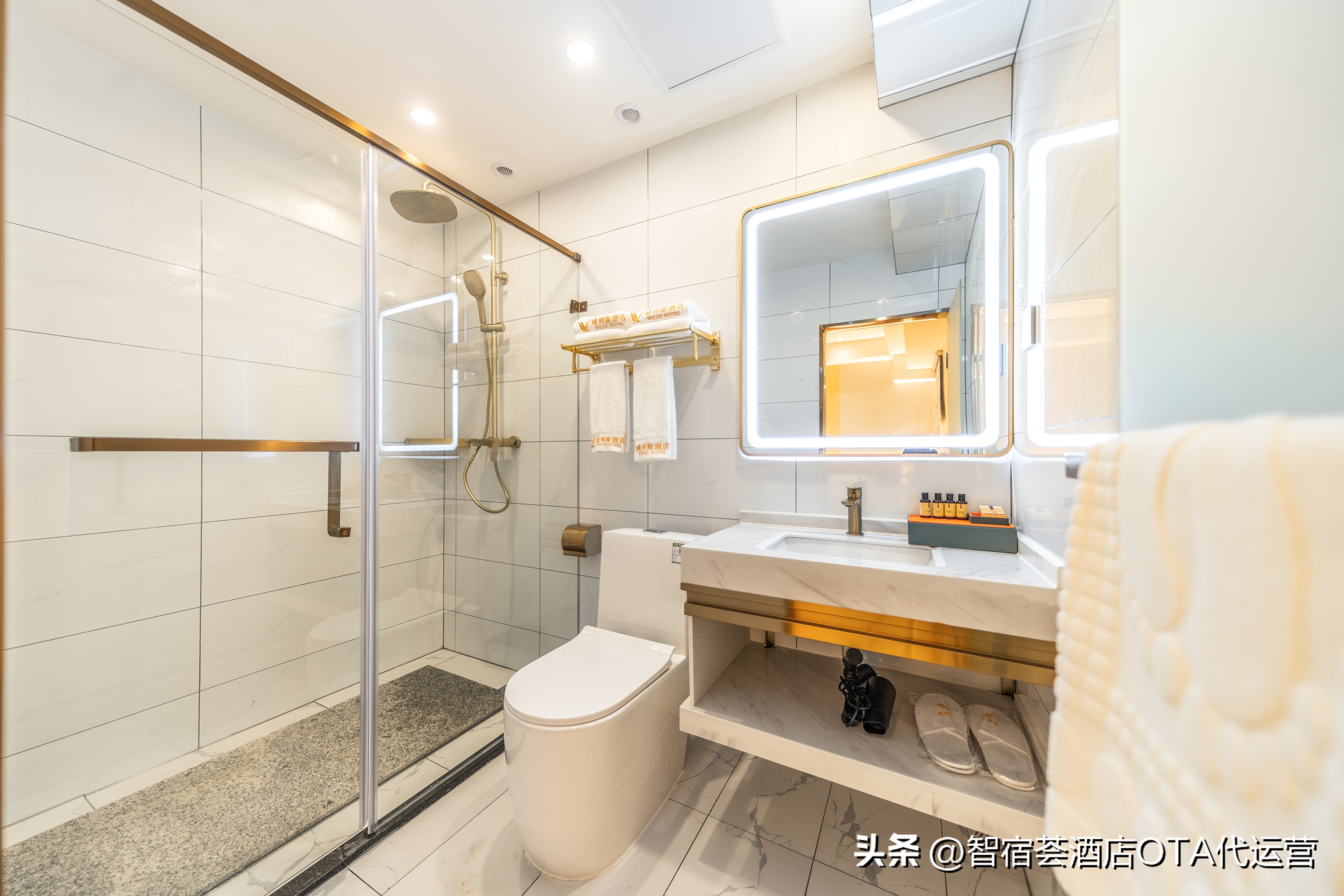 礼仪礼貌及行为规范