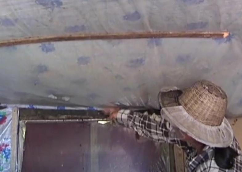 黑龙江女子和蛇同居15年,黑龙江男子和蛇一起生活三年