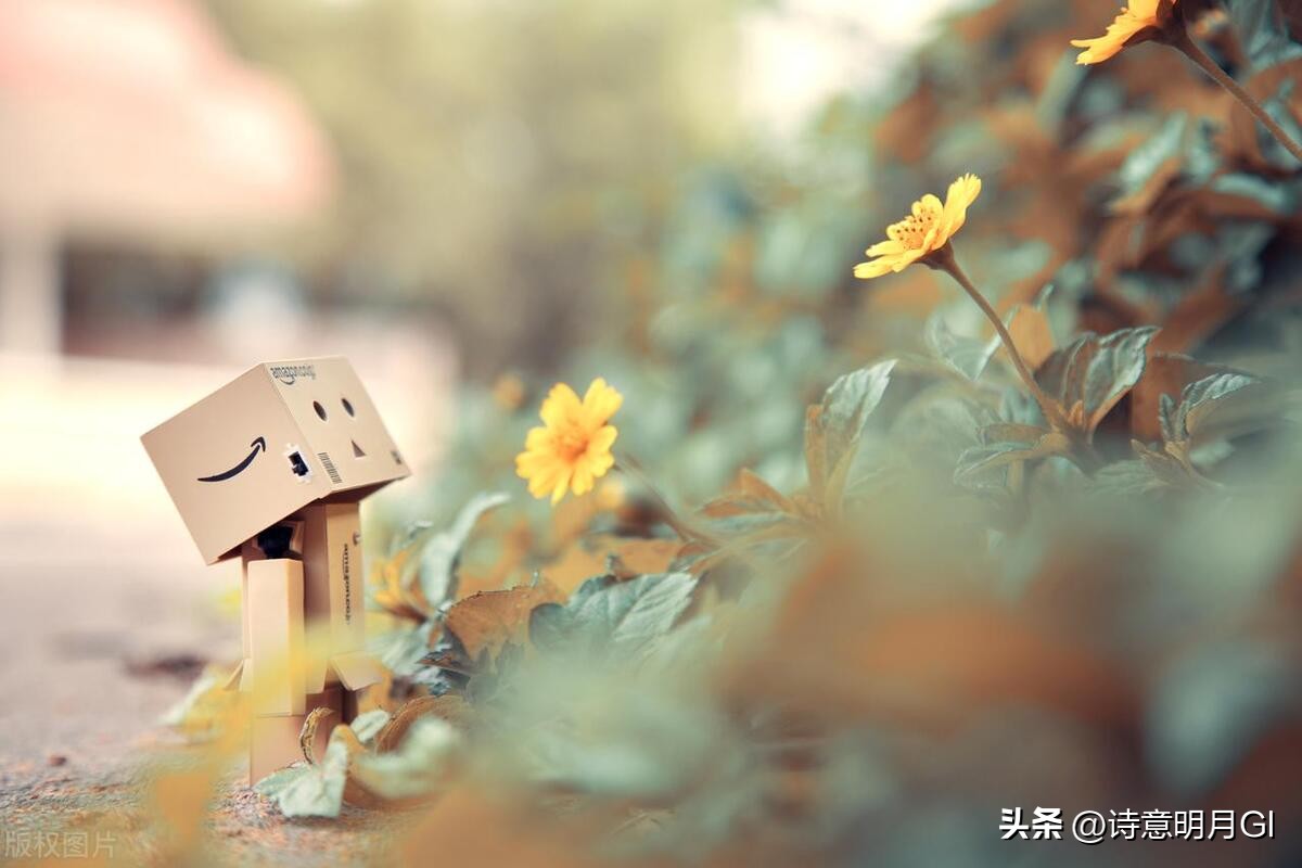 当生命走到最后一刻时在想什么,当生命走到尽头什么才最重要全文