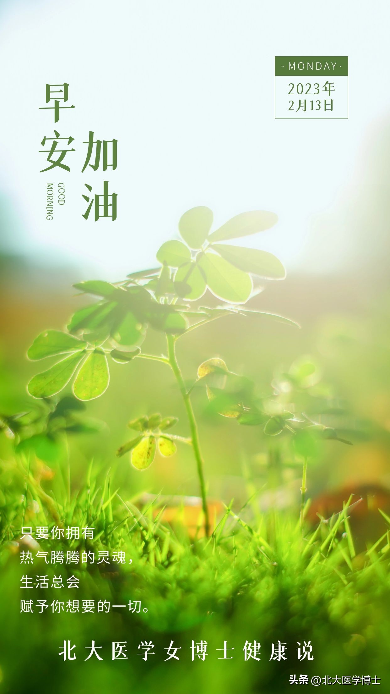 尿酸高是湿热下注能治愈吗,尿酸高导致痛风需要热敷还是冷敷