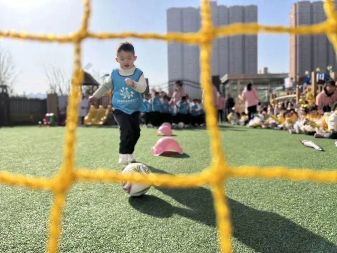 沣东新城公办幼儿园有哪些,沣东幼儿园排行榜