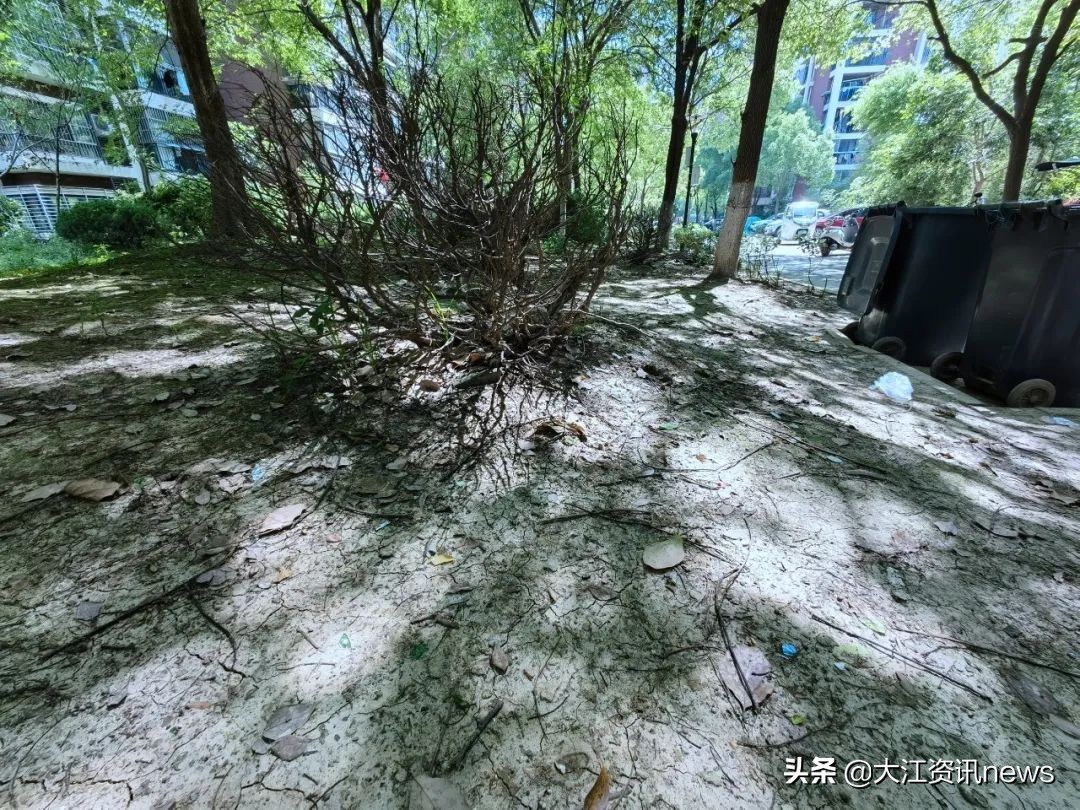 芜湖物业乱象专项整治小区名单,暗访芜湖小区物业问题比比皆是