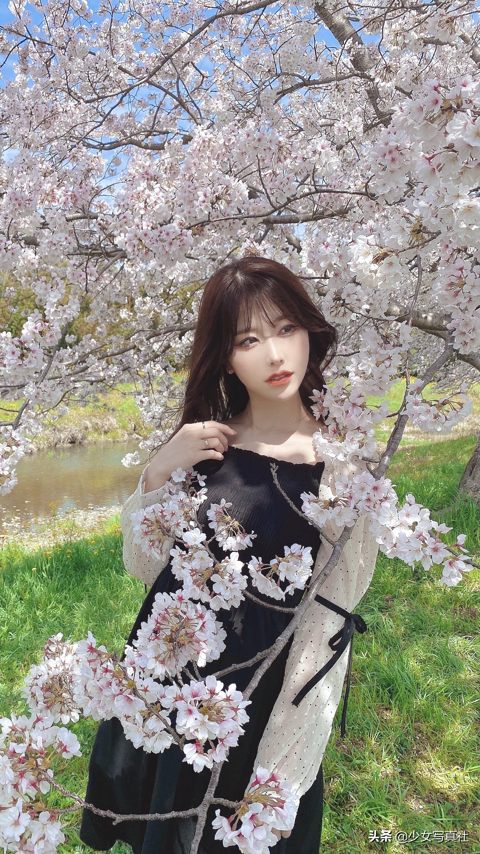 日本模特樱花照,山中丽子日本资料