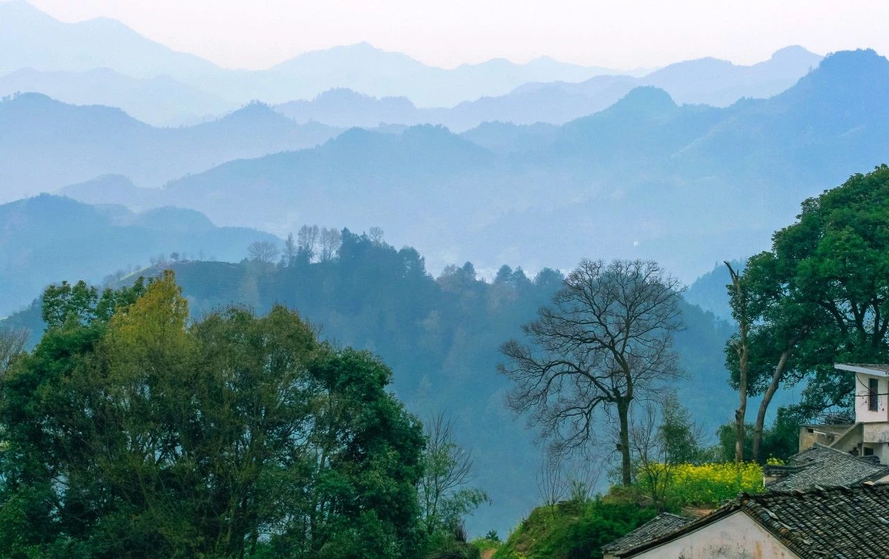 杜甫最经典的一句诗,杜甫最经典的100句诗词