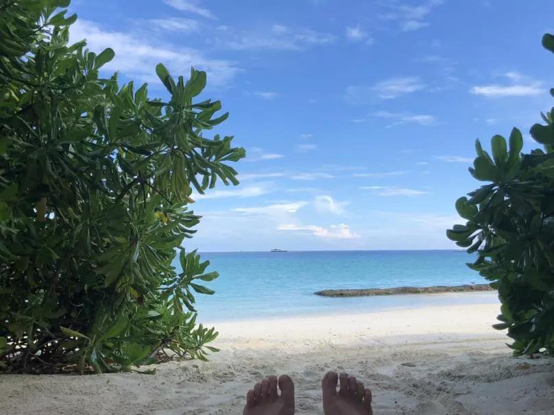 半年没进账，中小园林企业的“坑”是怎么埋下的？