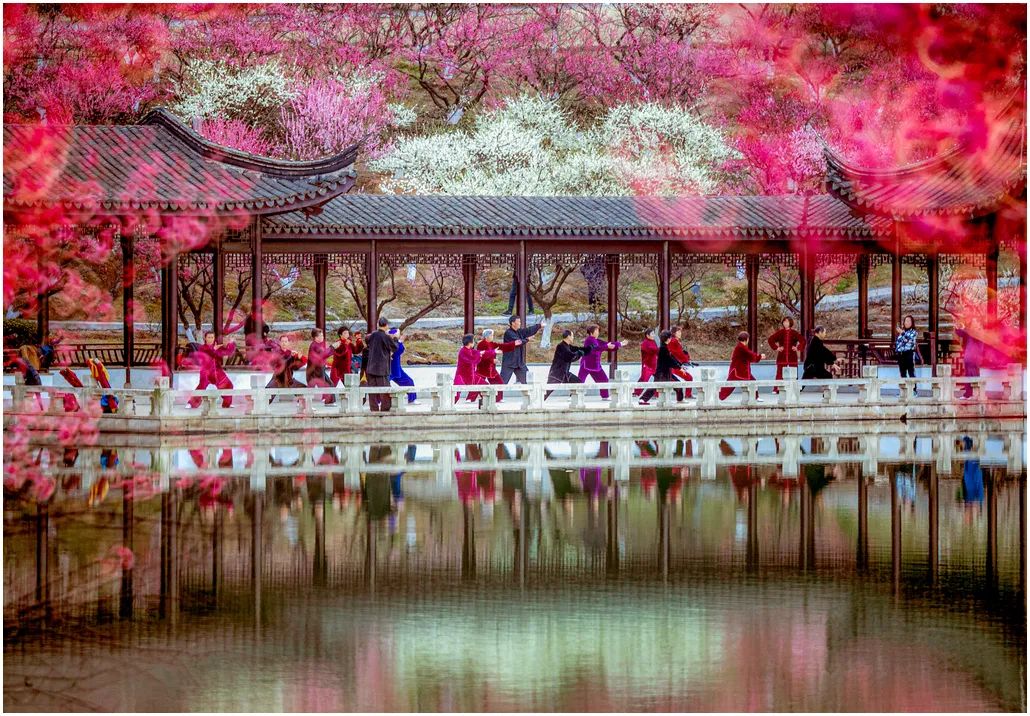 中国摄影艺术展获奖作品,北京国际摄影节获奖作品