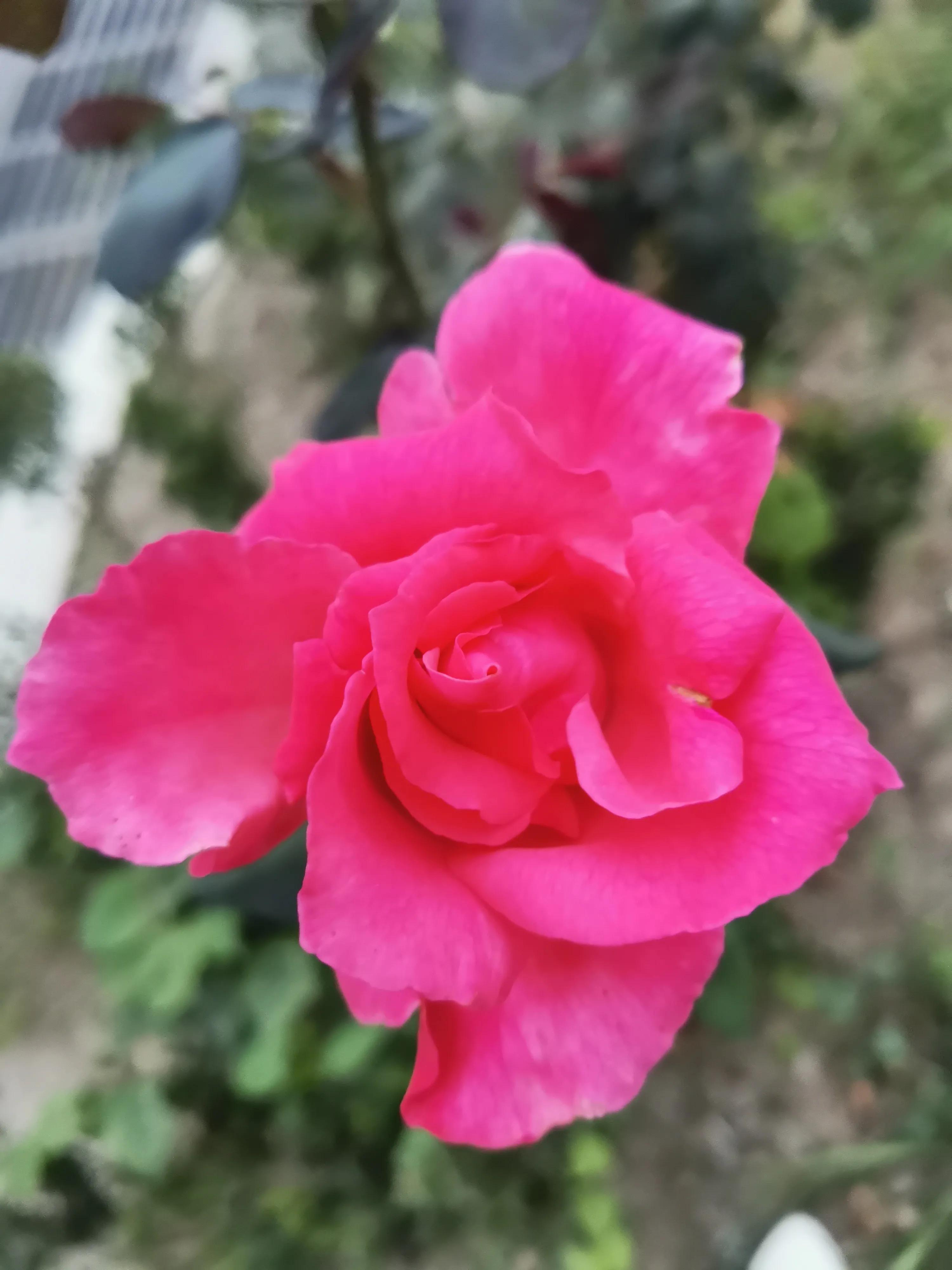 云水书法作品欣赏,云水堂楹联