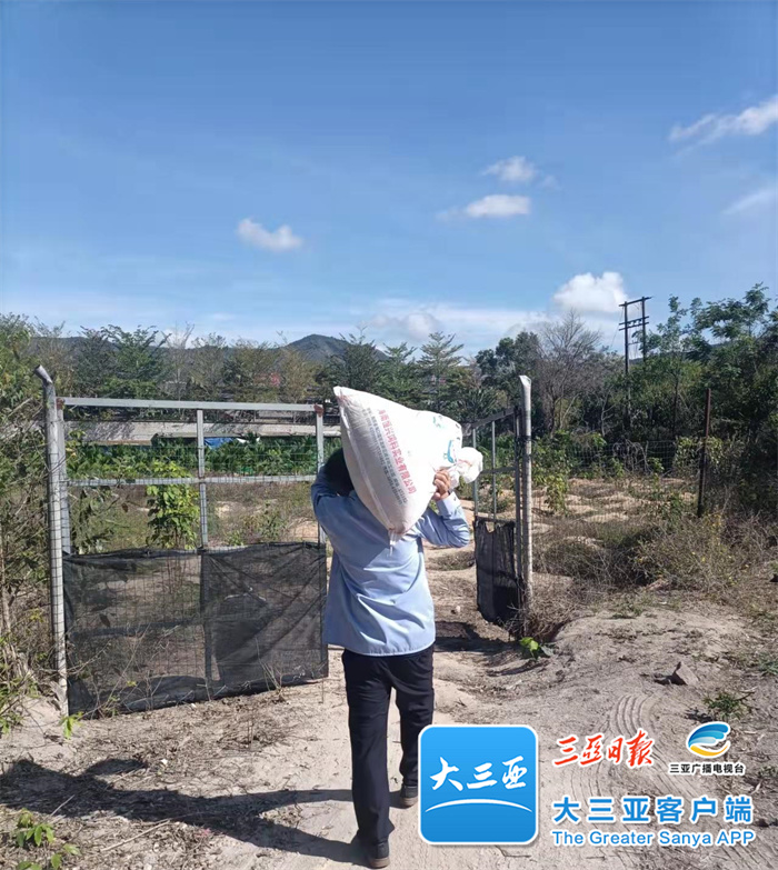 灌溉农田、代购饲料…天涯区解决封控区村民的“后顾之忧”