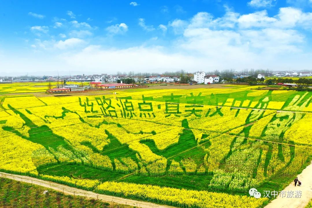 汉中油菜花海线路图,汉中城固油菜花观花点