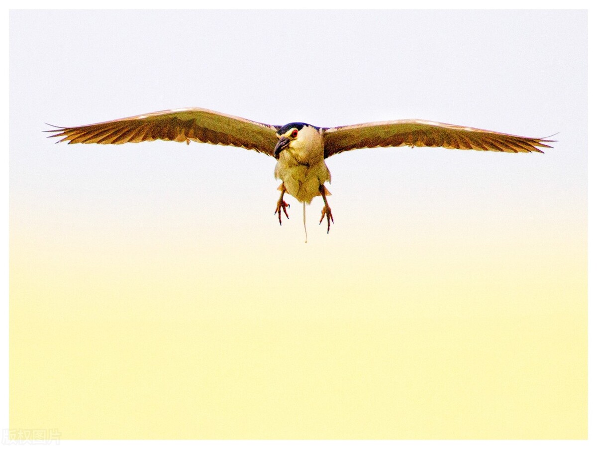 识别假冒化妆品的技巧,假冒化妆品骗局揭秘