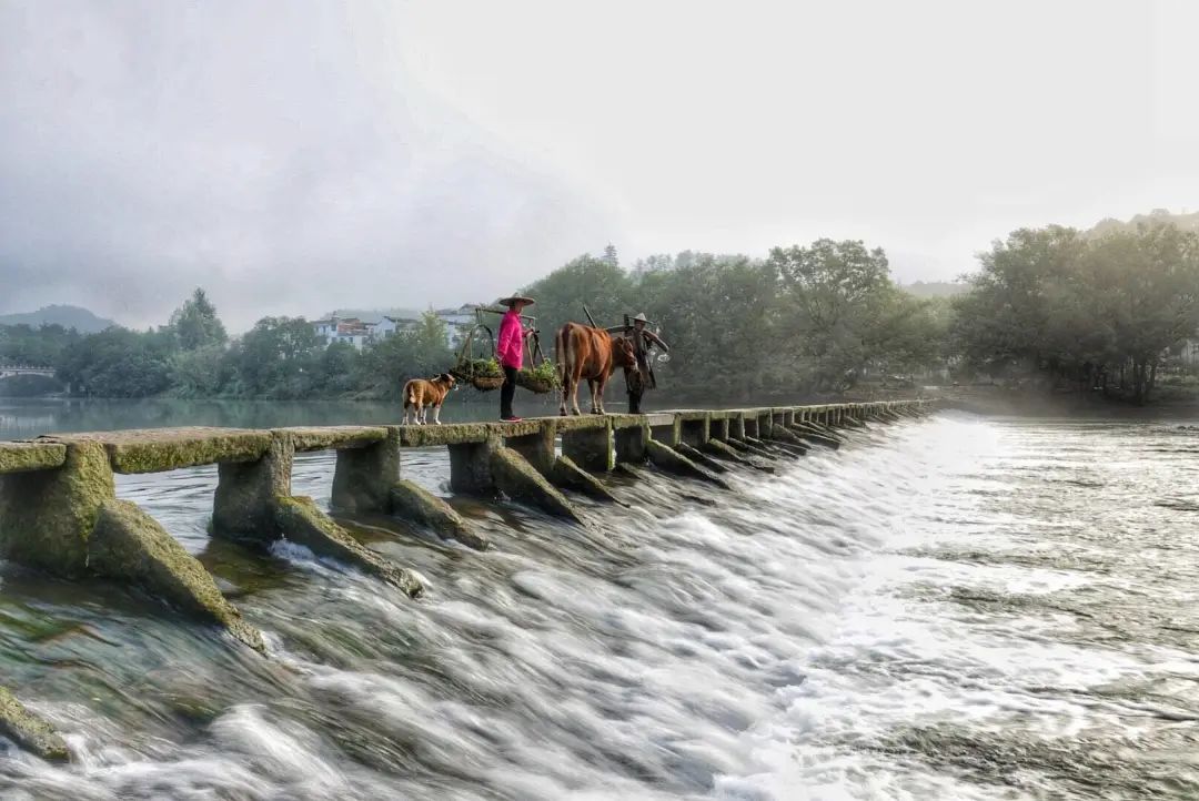 被《风味人间》疯狂种草的小城!1.5h直达!凭一个饼就征服世界