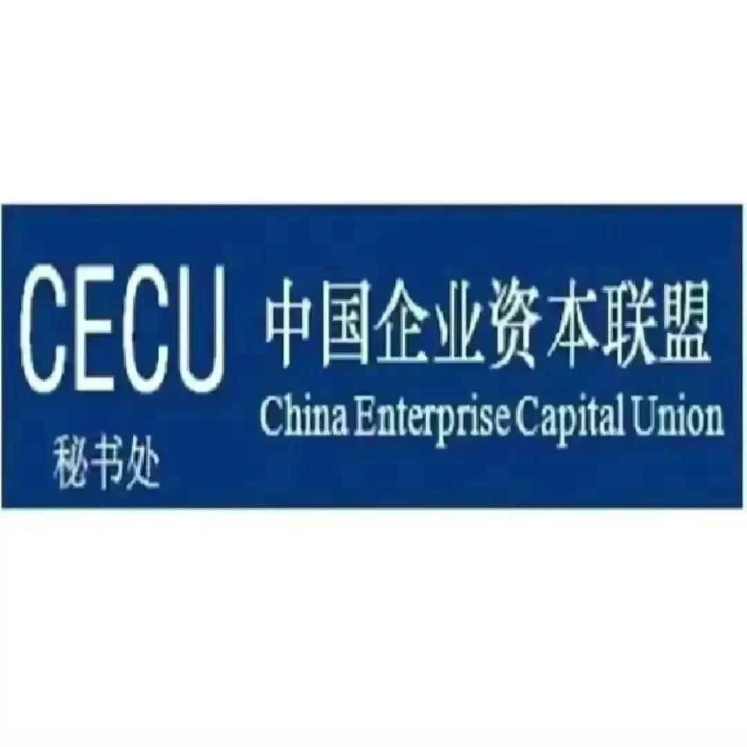 金融街电讯专访杜猛,金融街杜猛最新信息