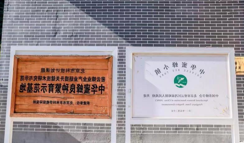 竟然占北京市蜂群的一半以上。