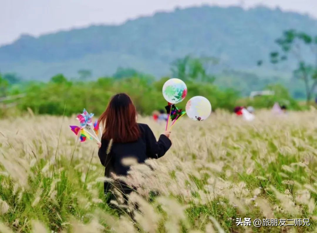 广州出发-英德1天游，美拍狗尾巴草，打卡巧克力小镇，千亩茶园