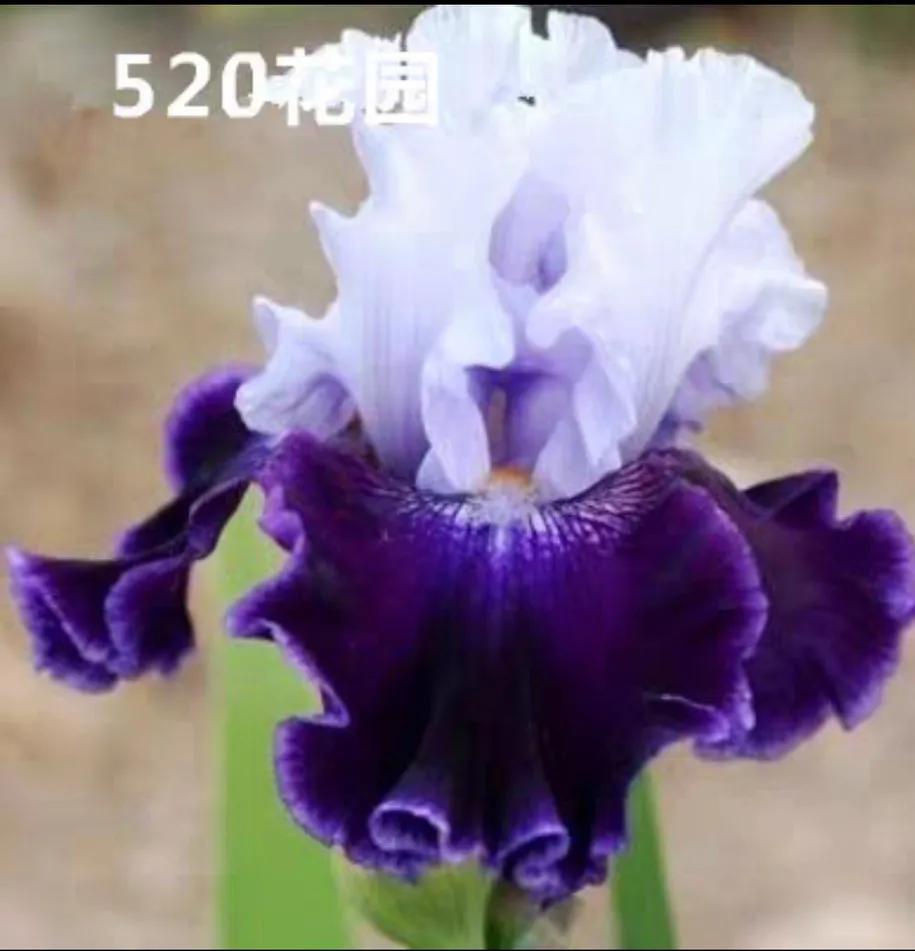 网购花卉养护骗局揭秘,花卉骗局揭秘大全图解