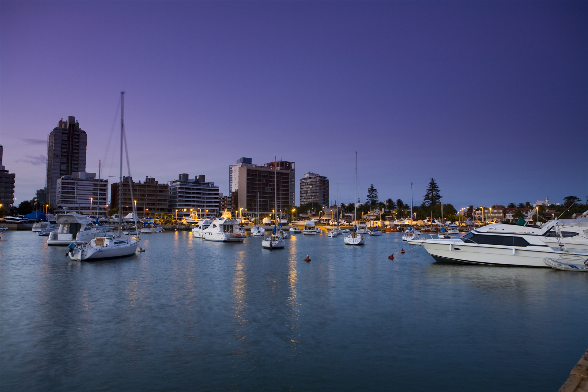 男足u20世界杯,u20世界杯男足