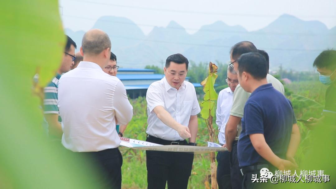 企业服务全周期,企业服务2022