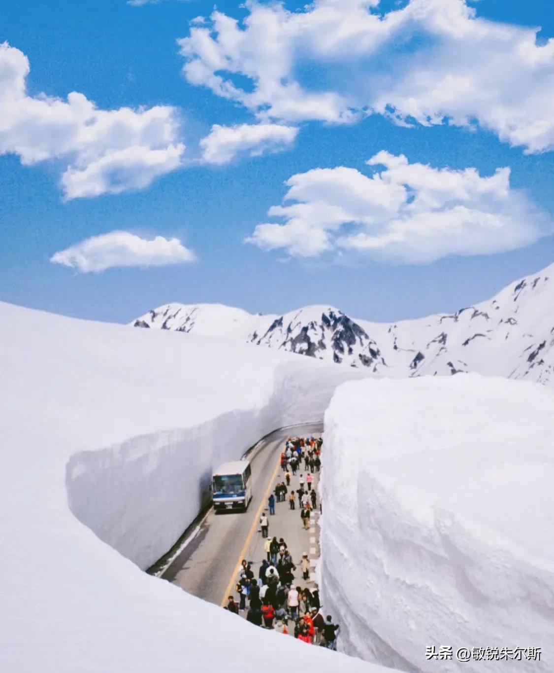 一个人记录生活在日本,记录一家人在日本日常
