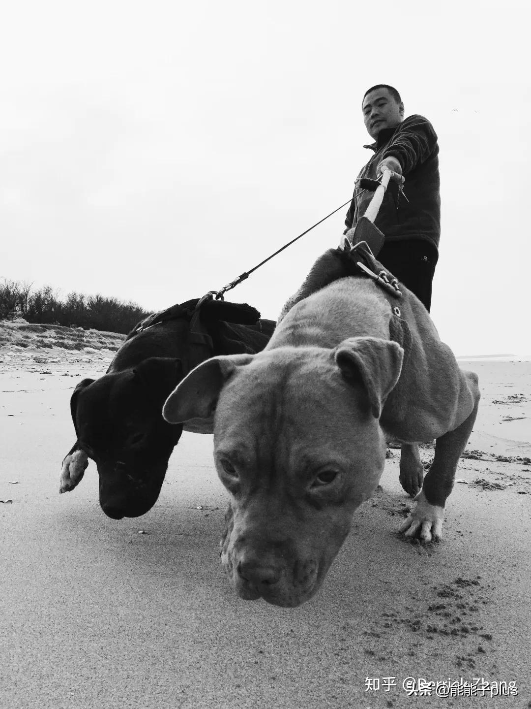 iphone12相机美颜怎么开,iphonex相机最佳设置