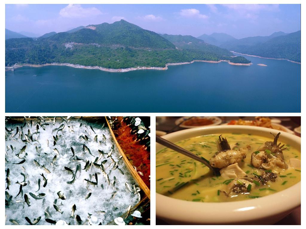 全球学子嘉游赣|中国博士县、世界台球城，一文带您游遍玉山县