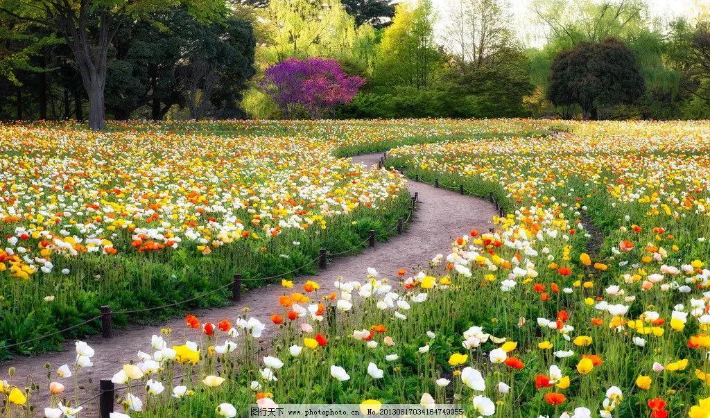 献爱心战胜病魔,为了爱战胜病魔