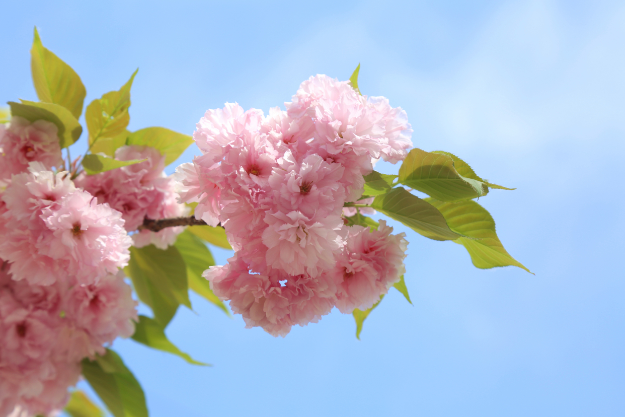 青龙湖公园网红打卡,丰台王佐青龙湖公园门票