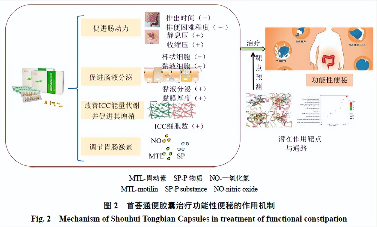 首荟通便胶囊治疗顽固性便秘吗,功能性便秘最快通便的方法
