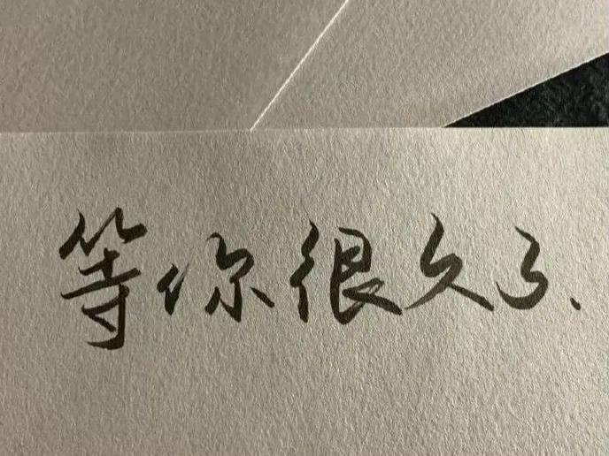 独属于你的浪漫每一句都令人感慨,那些浪漫语句