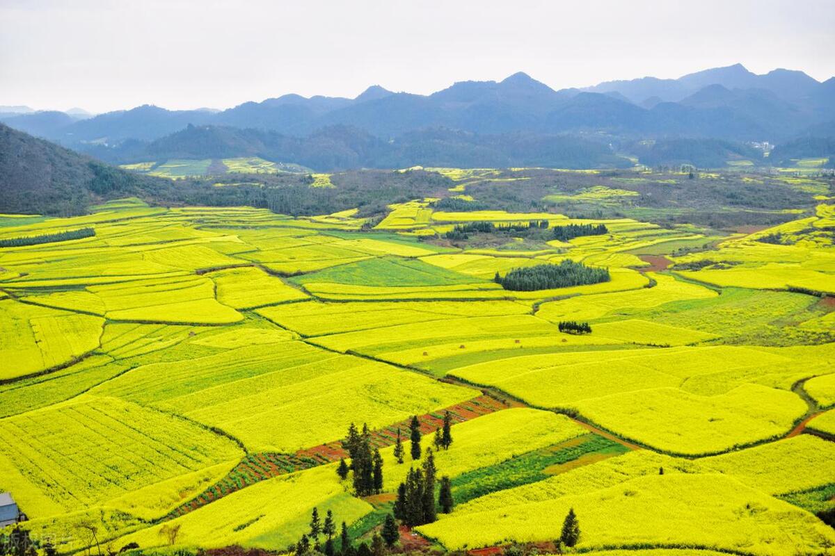 2022云南旅游景点攻略自由行,云南旅游玩得不过瘾