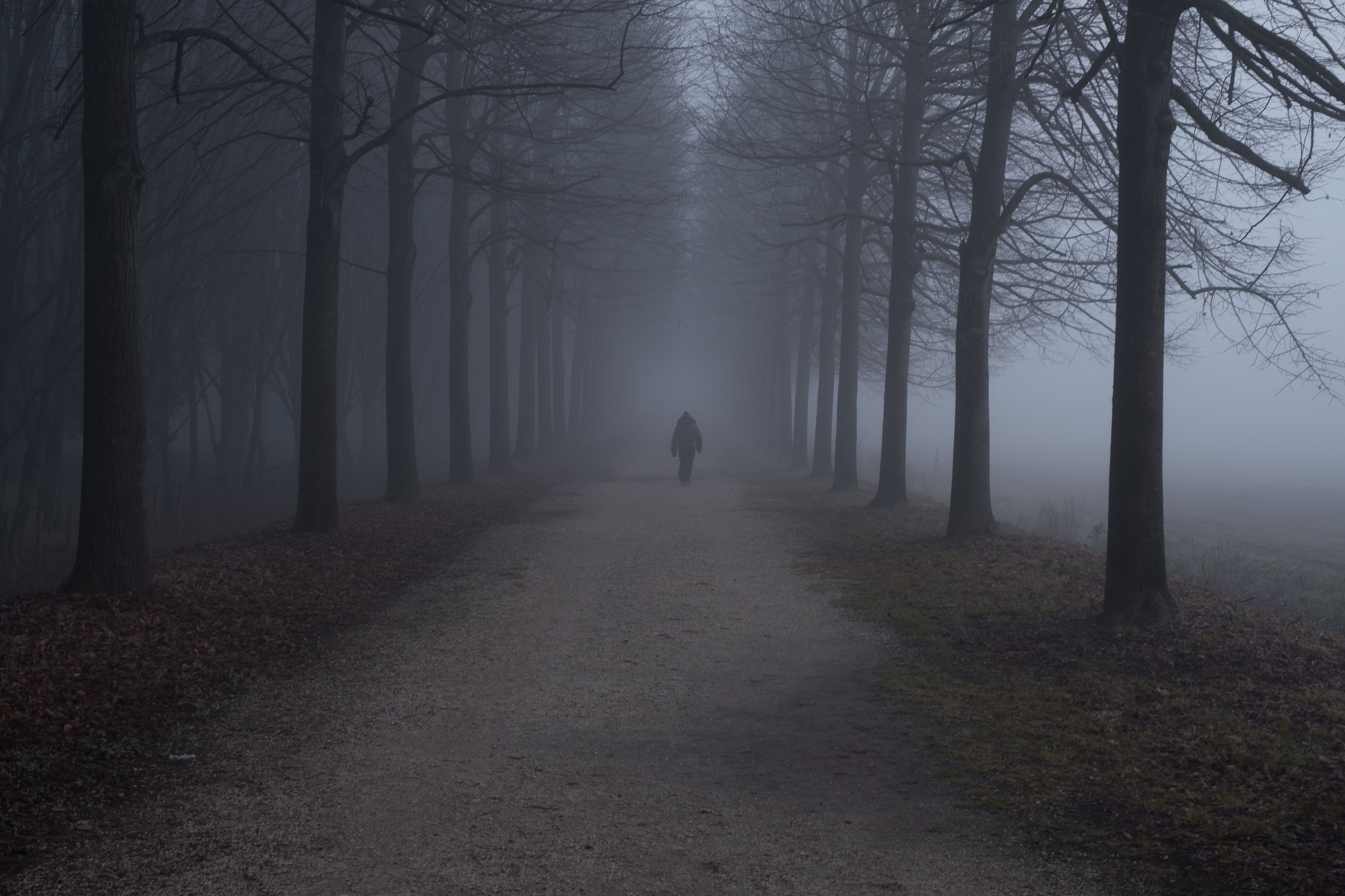 自媒体和自媒体平台,自媒体选多平台还是单一平台