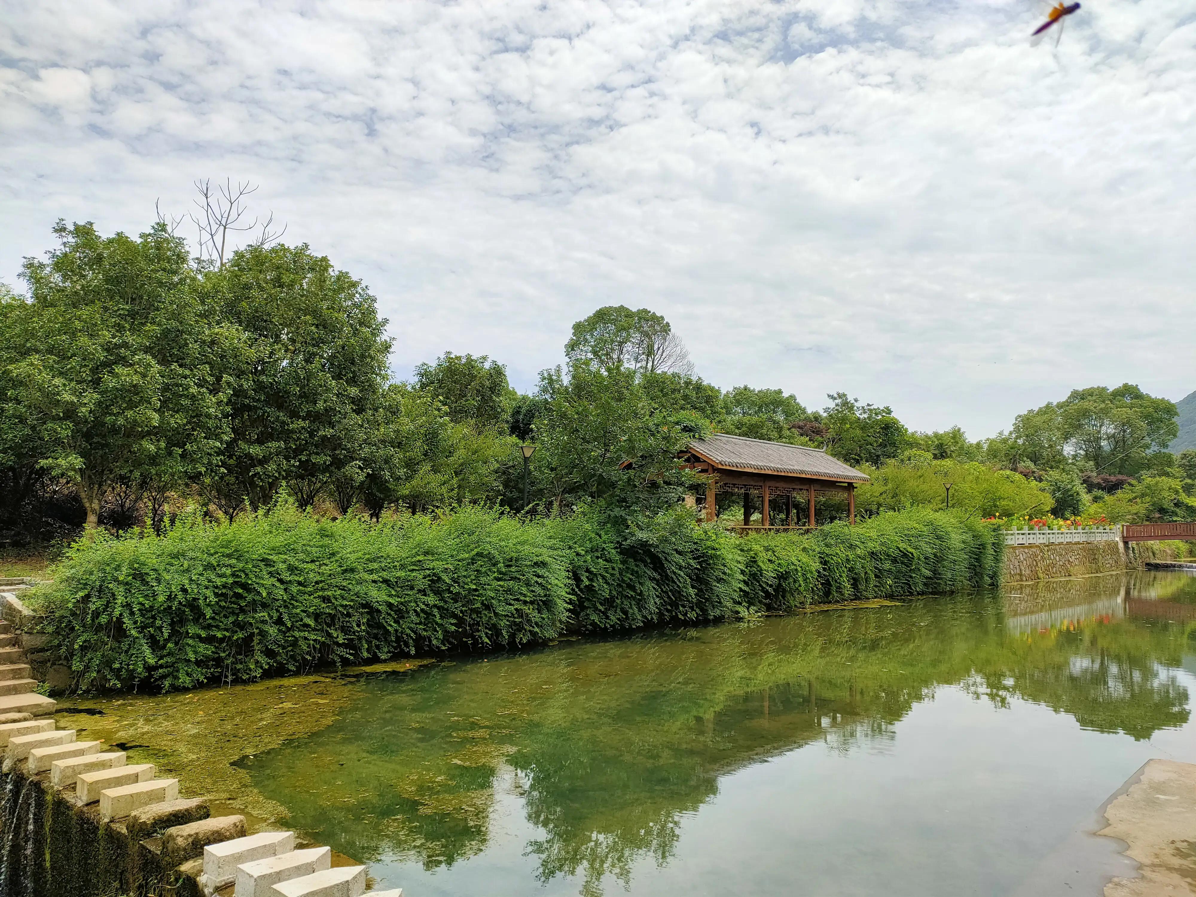 梦溪酒是这样酿成的－－知青之家“奉化裘村”一日游小记