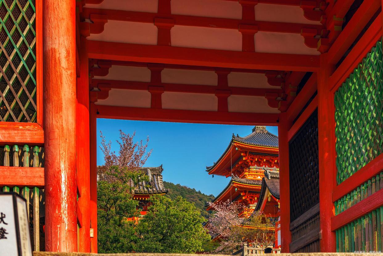 日本四国樱花季旅游攻略,几月份去日本看樱花旅游最合适呢