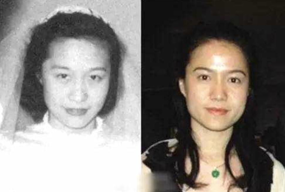 43岁翁帆和97岁杨振宁结婚了吗,翁帆和杨振宁多大岁数结婚