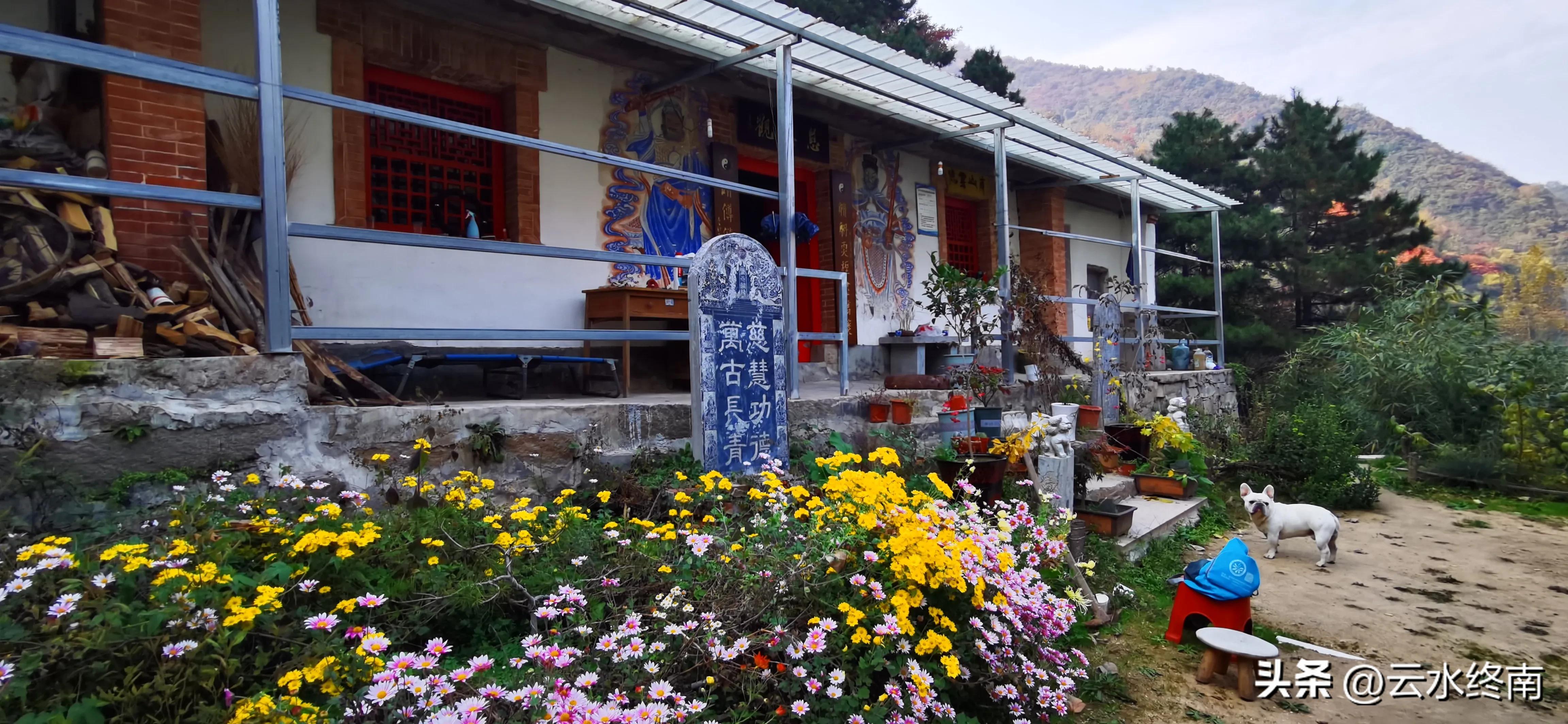 享个清福！到少有人知的峙峪看看漫山红叶，喝喝住山人清茶