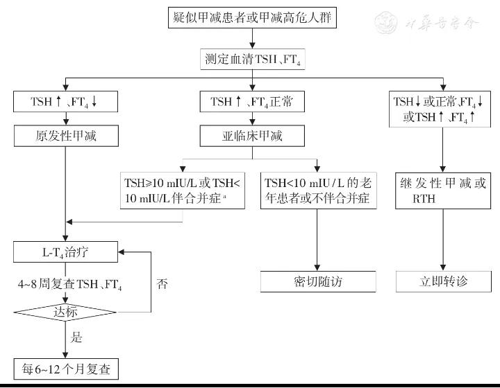 甲状腺功能减退症怎么治最好,甲状腺功能减退用药规范
