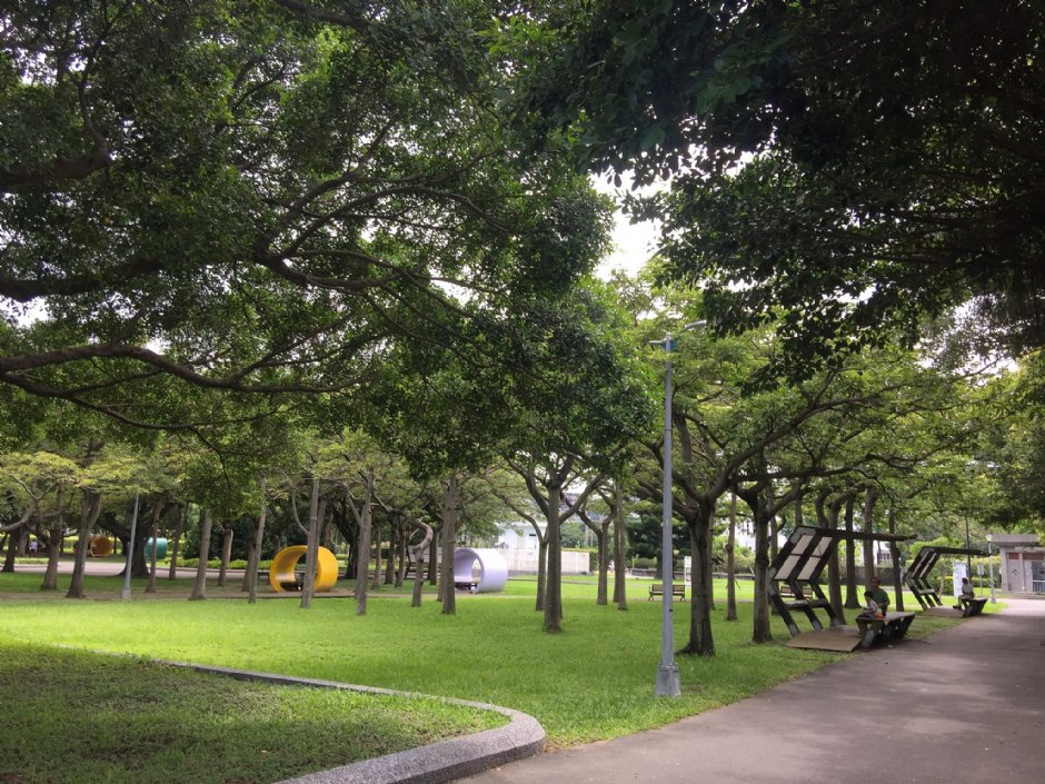 眼镜蛇被炖汤后，被剪掉的蛇头突然“复活”咬人，老伯差点丧命